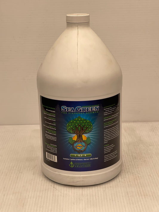 Sea Green 1 Gallon